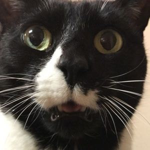 Meet your Posher, Jenna